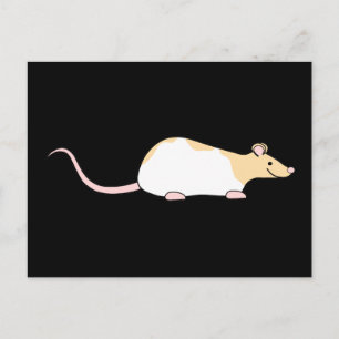 Cartão Postal Pet Rat. Variegada de Cabeça Branca e Vestida.