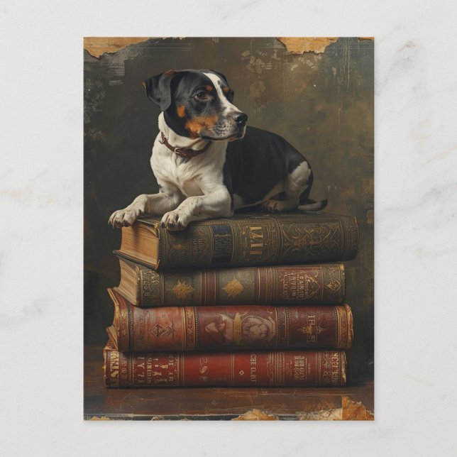 Cartão Postal Pet Talk Magnetic Card (Frente)