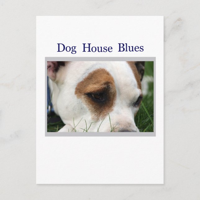 Cartão Postal Pete Pit1 (Frente)