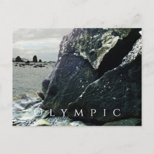 Cartão Postal Petroglicóis, Parque Nacional da Olimpiadas, Wash