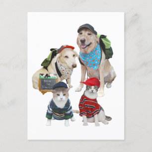 Cartão Postal Pets de Cute Personalizáveis