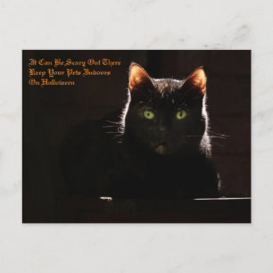 Cartão Postal Pets de Halloween
