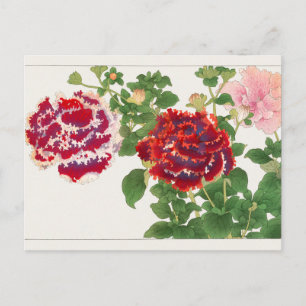 Cartão Postal Petúnia de Tanigami Konan
