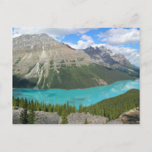 Cartão Postal Peyto Glacial Lake Banff Park Alberta Canadá
