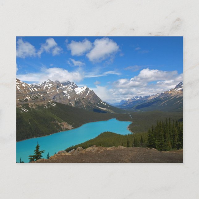 Cartão postal Peyto Lake (Frente)
