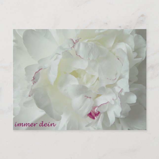Cartão Postal Pfingsten: Immer Dein (Frente)