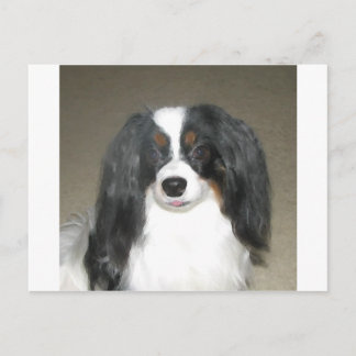 Cartão Postal Phalène Papillon