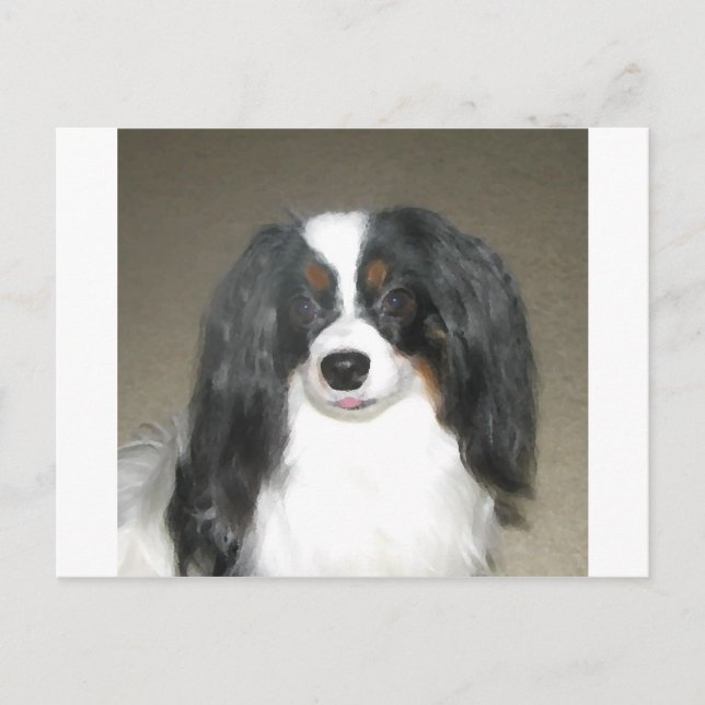 Cartão Postal Phalène Papillon (Frente)