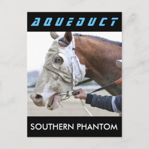 Cartão Postal Phantom do Sul