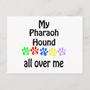 Cartão Postal Pharaoh Hound Walks Design