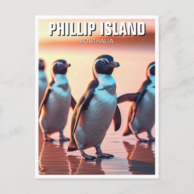 Cartão Postal Phillip Island Austrália (Frente)