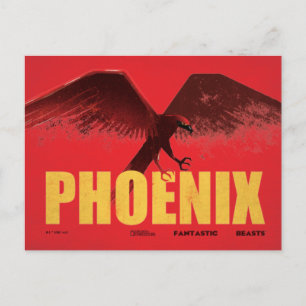 Cartão Postal Phoenix Vingate Graphic