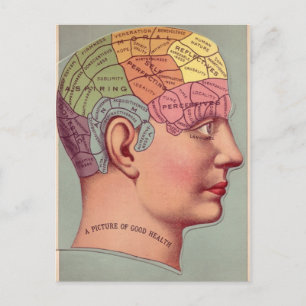 Cartão Postal Phrenology Vintage Art Picture of Good Health