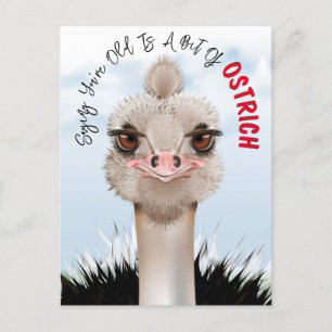 Cartão Postal Piada de Avestruz Aniversário Engraçado