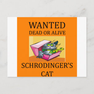 Cartão Postal piada de gato de Schrodinger