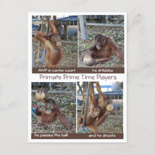 Cartão Postal Piadas de Hoop MVP de Basquete