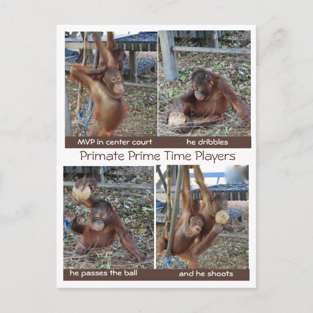 Cartão Postal Piadas de Hoop MVP de Basquete (Frente)