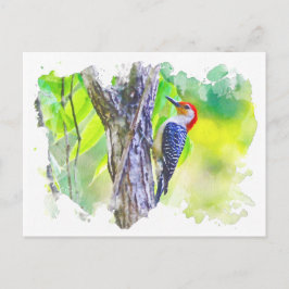Cartão Postal Pica-pau agarrado à árvore
