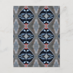 Cartão Postal Pica-Pau Dony Male Patternizado