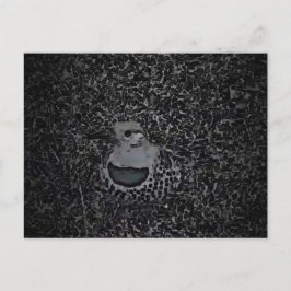 Cartão Postal Pica-Pau-Pica-Pica-Pau do norte v1 - Critério do P