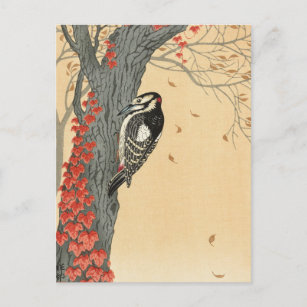 Cartão Postal Pica-pau pontiagudo excelente em árvore com maré v