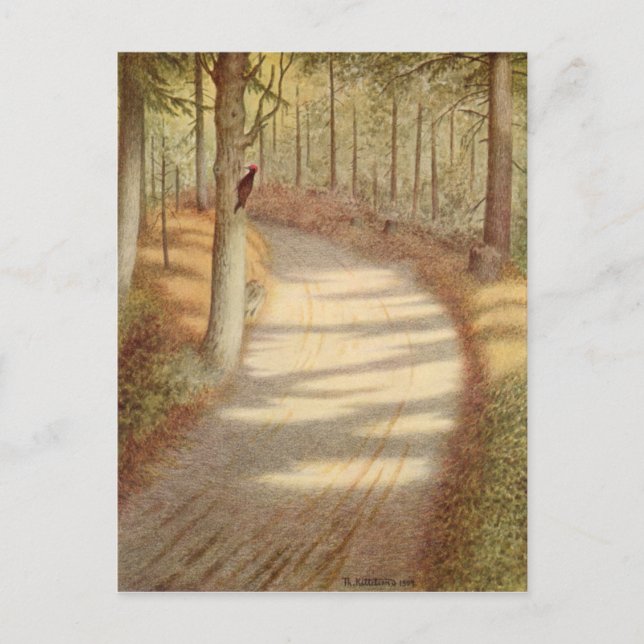 Cartão Postal Pica-pau por Theodor Severin Kittelsen (Frente)