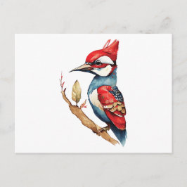 Cartão Postal Pica-pau vermelho e azul