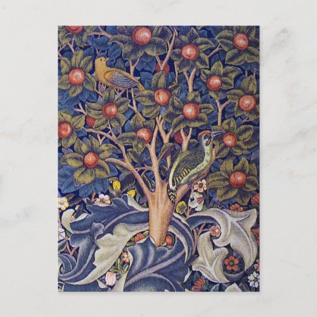 Cartão Postal Pica-pau, William Morris (Frente)