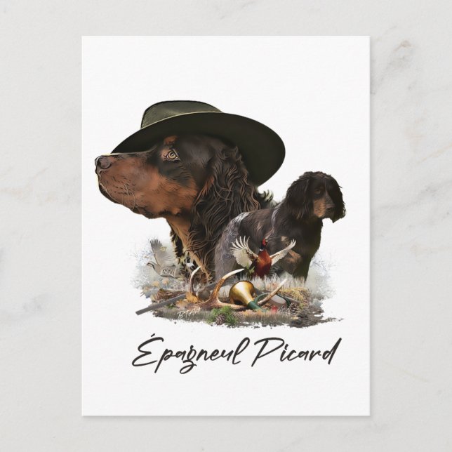 Cartão Postal Picardy Spaniel, Estação de Caça (Frente)
