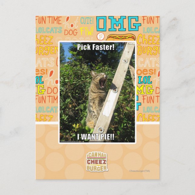 Cartão Postal Picareta mais rapidamente! (Frente)