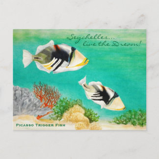 Cartão Postal Picasso Trigger Fish