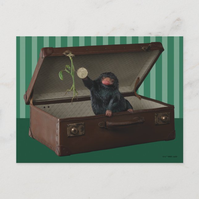 Cartão Postal Pickett & Teddy na Pasta (Frente)