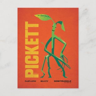 Cartão Postal Pickett Vintage Graphic