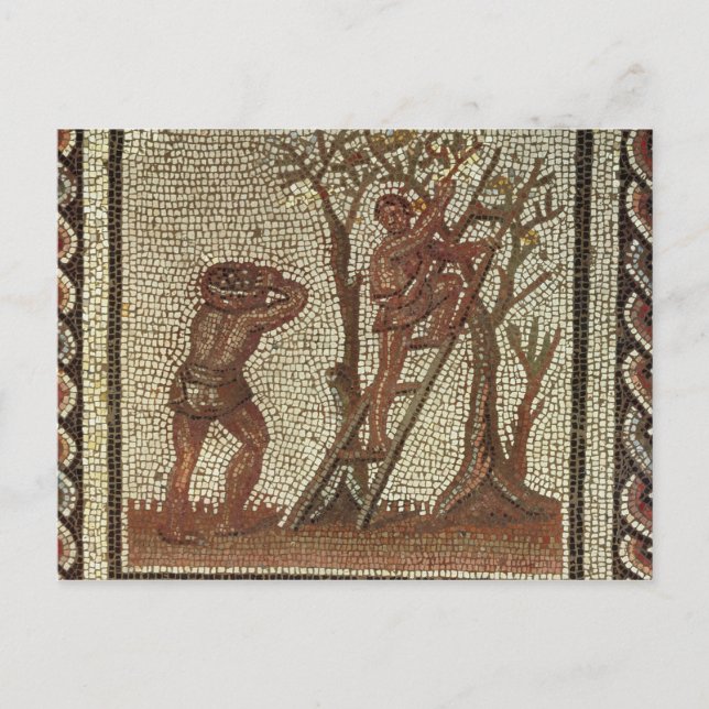 Cartão Postal Picking Fruit, Roman Mosaic (Frente)