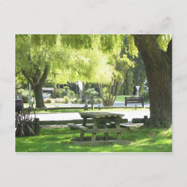 Cartão Postal Picnic Ground (Frente)