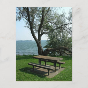 Cartão Postal Picnic Table Along The Shoreline