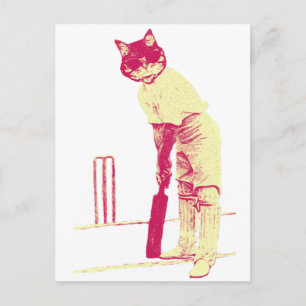 Cartão Postal pictímetro vintage cat