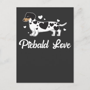 Cartão Postal Piebald Dachshund Dog Owner Gift