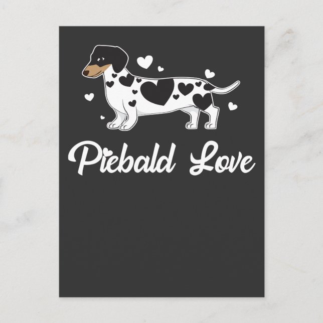 Cartão Postal Piebald Dachshund Dog Owner Gift (Frente)