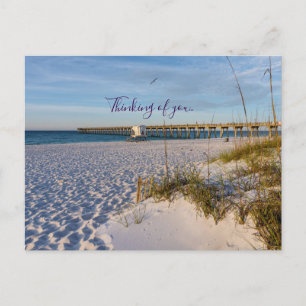 Cartão Postal Pier Pensacola Sand Dunes Postcard Pensando Em Voc