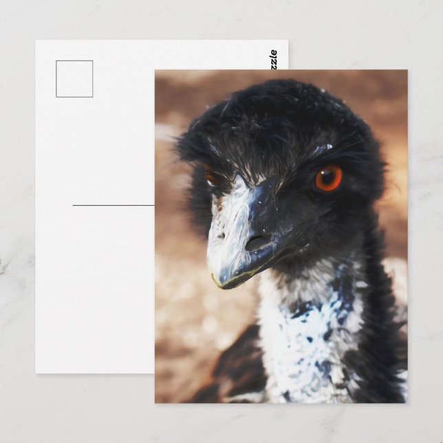 Cartão Postal Piercing Eyes of Outback (Frente/Verso)