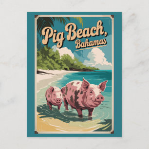 Cartão Postal Pig Beach Bahamas Viagem Art Vintage