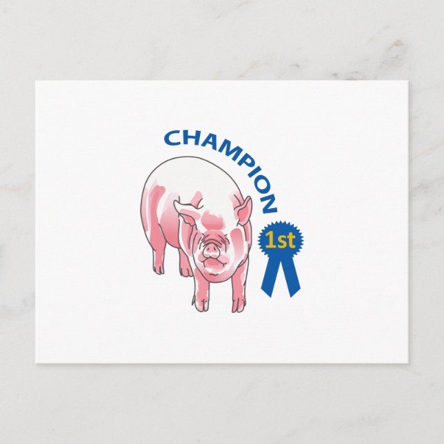 CARTÃO POSTAL PIG CHAMPION (Frente)