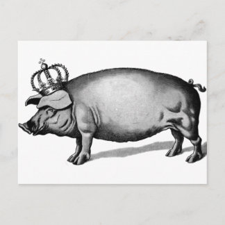 Cartão Postal Pig Crown Royal Queen Big Piggy