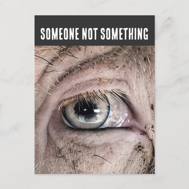 Cartão Postal PIG Postcard, SOMEONE NOT SOMETHING (Frente)