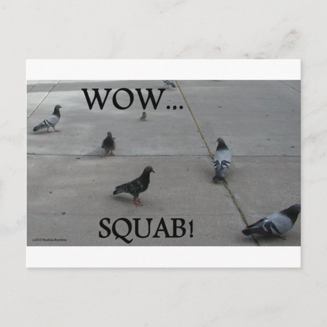 CARTÃO POSTAL PIGEON HUMOR (Frente)