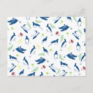 Cartão Postal Pigeon Kereru NZ Bird