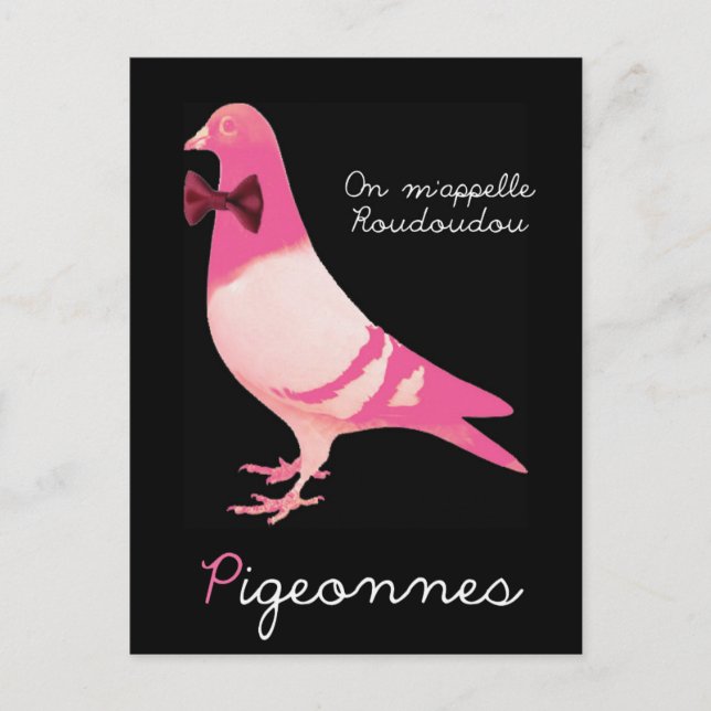 Cartão Postal Pigeonnes - No meu appelle Roudoudou (Frente)