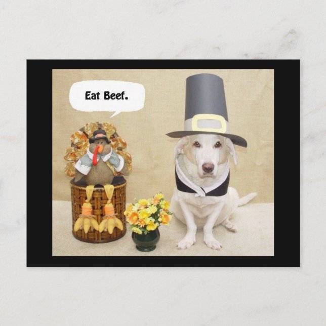 Cartão Postal Pilgrim Myrtie (Frente)