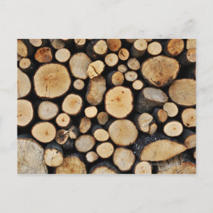 Cartão Postal Pilha de logs de árvore